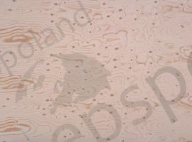 Klasse II - Beispielansicht